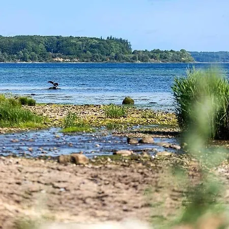 Prázdninový dům Sb53782-aabenraa-lonholt-63